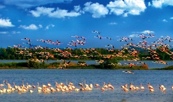 Alla scoperta del Delta del Po Alla scoperta del Delta del Po