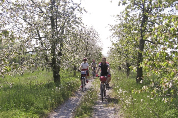 Fahrradreise durch die Romagna