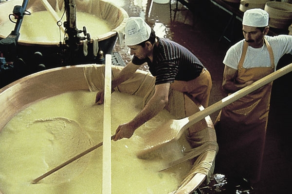 EXPERIENCE FICO EATALY WORLD - Italian excellence from field to fork EXPERIENCE FICO EATALY WORLD - Italian excellence from field to fork