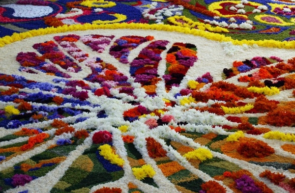Floraisons en Ombrie Floraisons en Ombrie