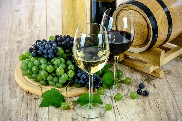 Le Langhe, i suoi vini e non solo... Le Langhe, i suoi vini e non solo...