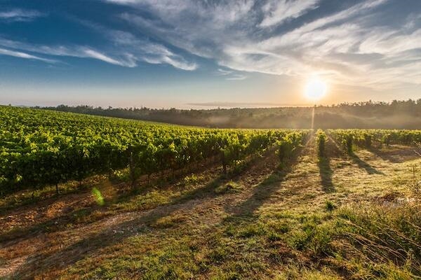 Puglia dei sapori e della cultura