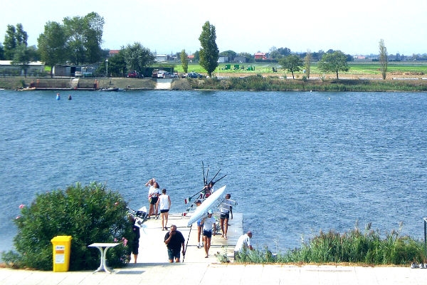 Canottaggio, Kayak, Dragon Boat Canottaggio, Kayak, Dragon Boat