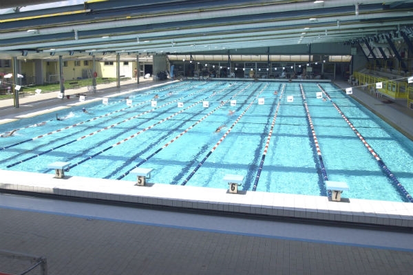 Swimming training camps Swimming training camps