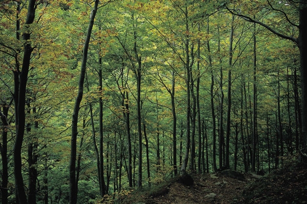 Trekking sulle vie dei contrabbandieri Trekking sulle vie dei contrabbandieri
