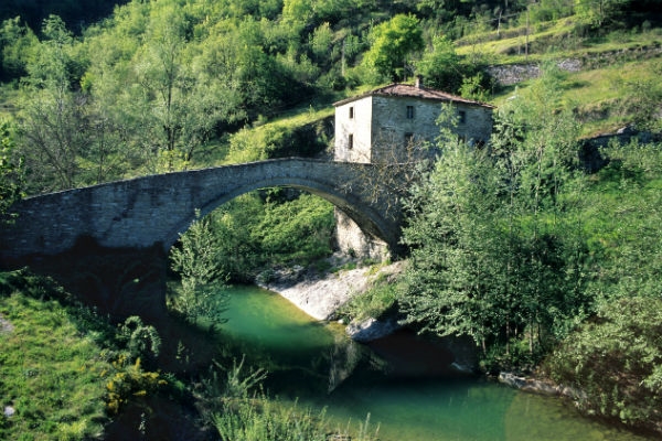 Pellegrinaggio Sarsina e La Verna Pellegrinaggio Sarsina e La Verna