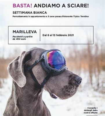 Settimana Bianca in appartamento a Marilleva 