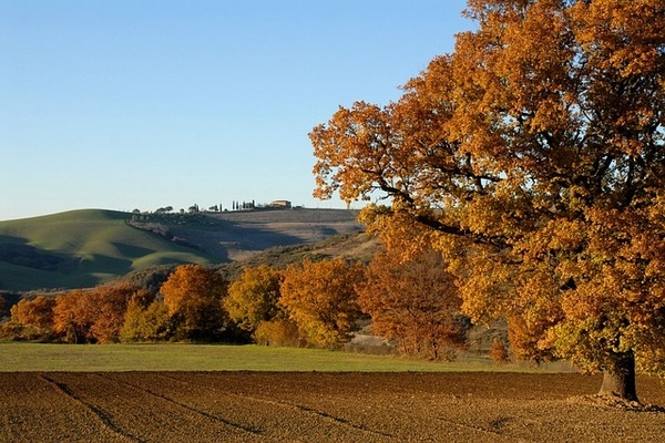 Autunno tra sapori e cultura della Romagna